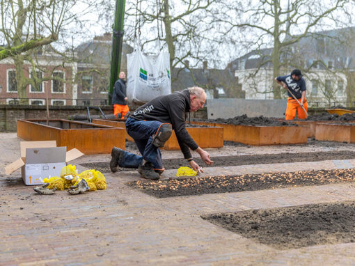 Herinrichting historische tuin Rijksmonument Sonnenborgh i.o.v. K.F. Heinfonds / Stadsherstel Utrecht