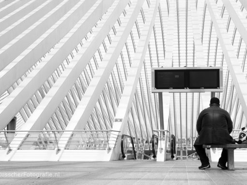 Station Luik Guillemins – Santiago Calatrava