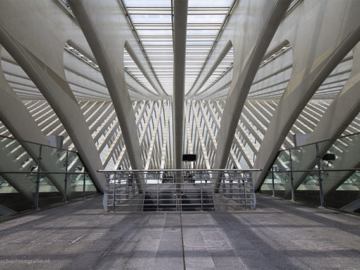 Station Luik Guillemins – Santiago Calatrava