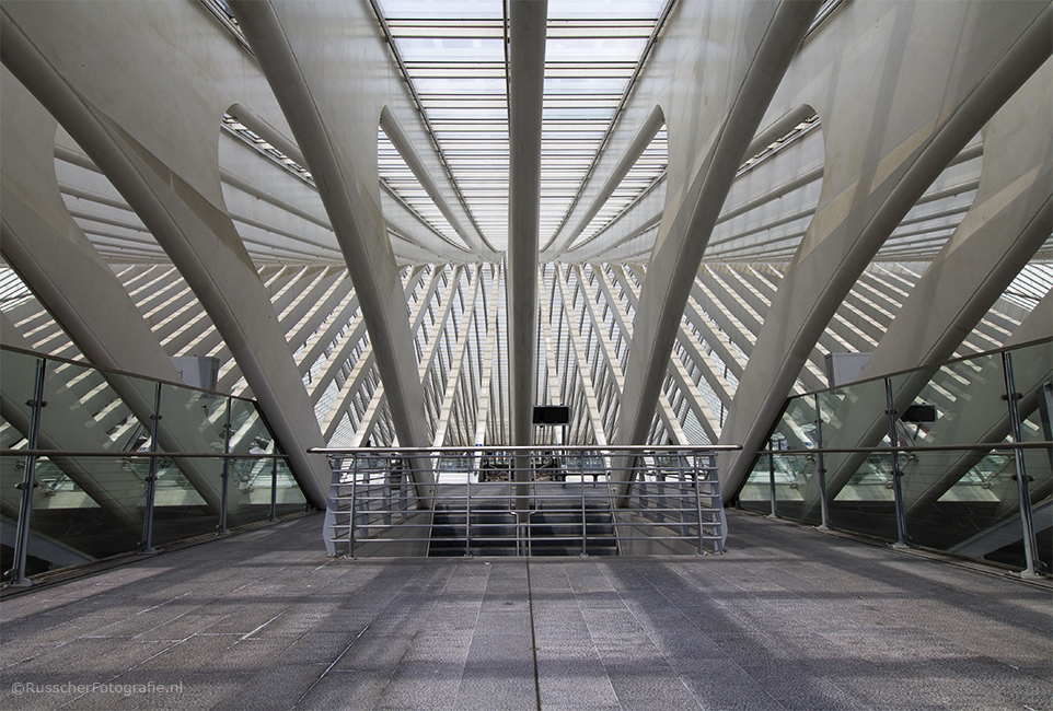 Station Luik Guillemins – Santiago Calatrava