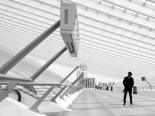 Station Luik Guillemins – Santiago Calatrava