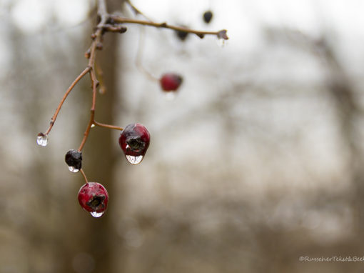 Besjes en druppels