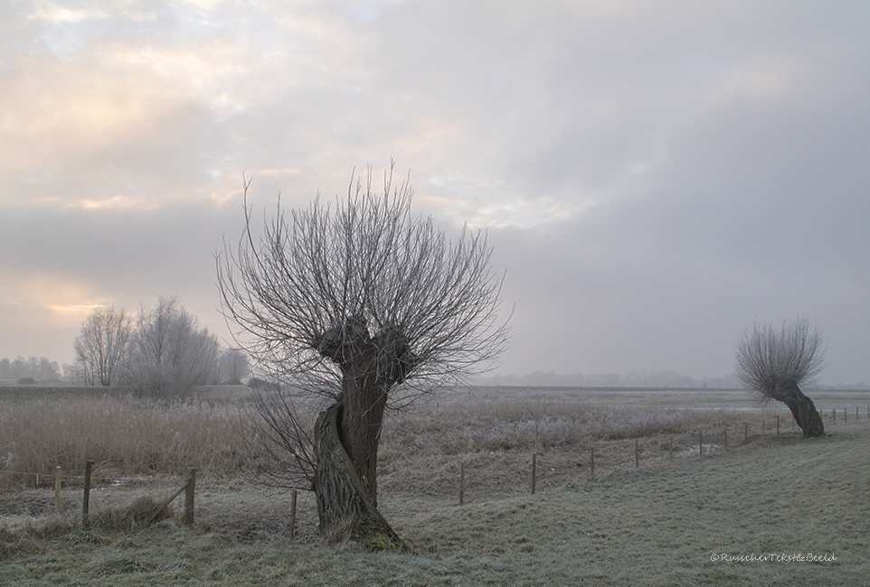 Steenwaard, uiterwaarden Lek t.h.v. Tull in’t Waal