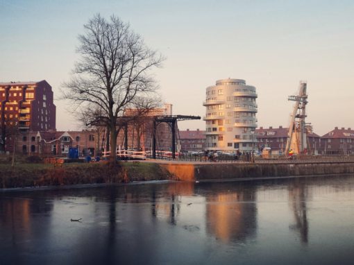 Ensemble Cereol Fabriek, Meyster’s Buiten, Muntsluis