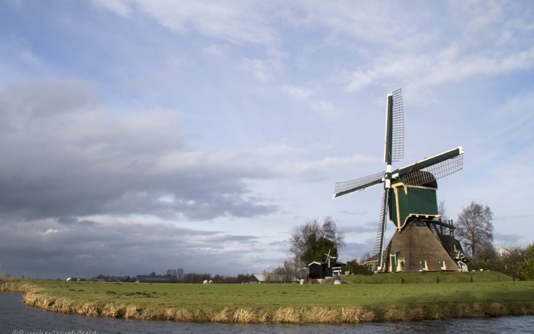 Kockengse Molen