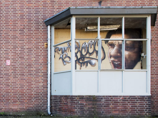 Streetart, voormalige zeepfabriek Rohm & Haas Amersfoort