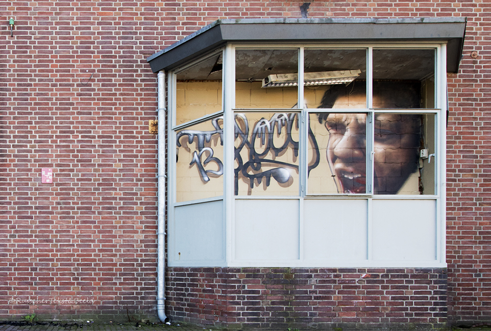 Streetart, voormalige zeepfabriek Rohm & Haas Amersfoort