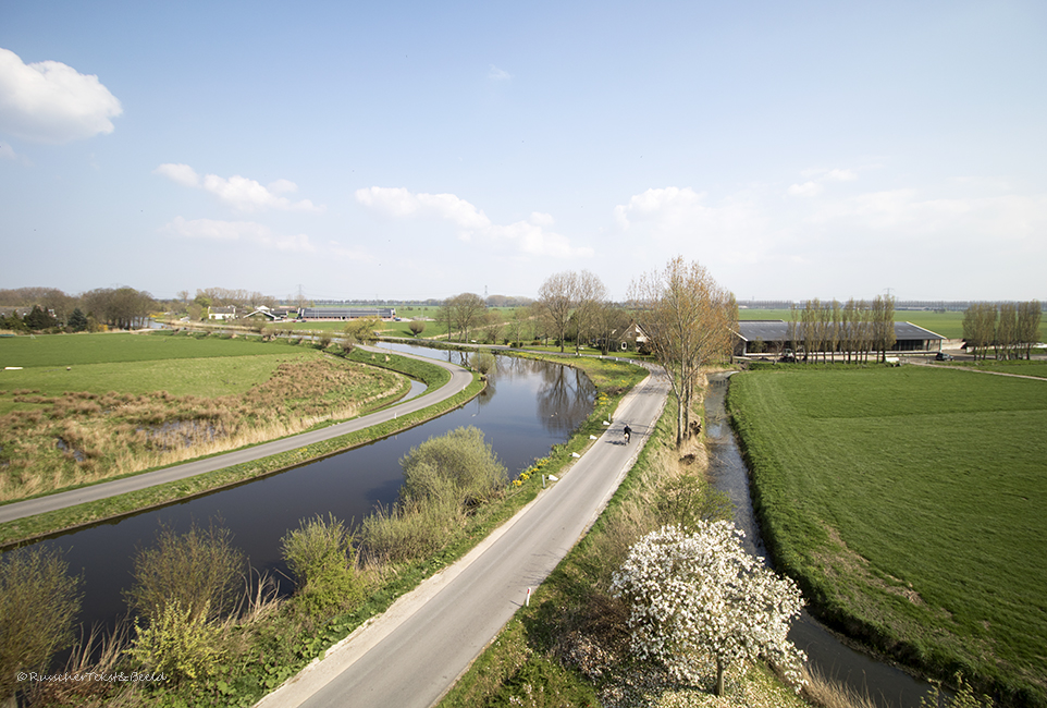 Hollands landschap, uitzicht vanuit Oostzijdse Molen, Abcoude.