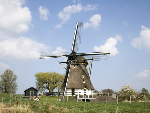 Oostzijdse Molen (Mondriaanmolen), Abcoude. I.o.v. Stichting Utrechts Landschap.