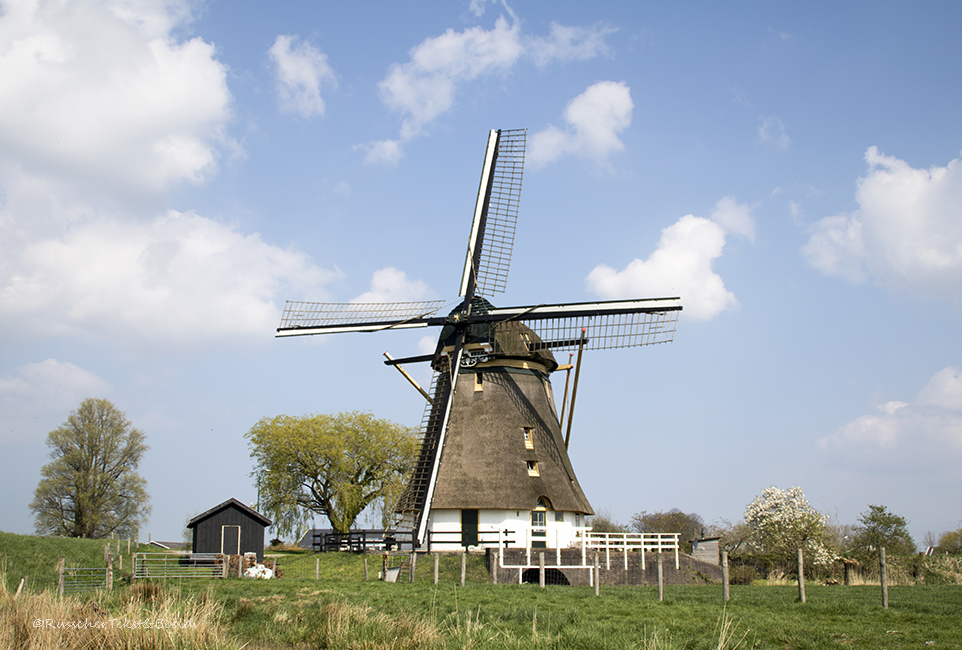 Oostzijdse Molen (Mondriaanmolen), Abcoude. I.o.v. Stichting Utrechts Landschap.