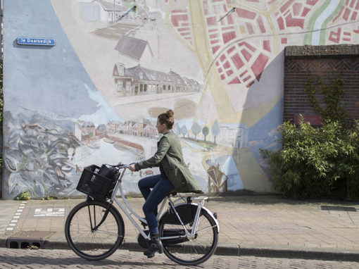 De Daalsedijkroute. Tekst en beeld t.b.v. gebiedsontwikkeling Utrecht Wisselspoor, i.o.v. Synchroon Ontwikkelaars.