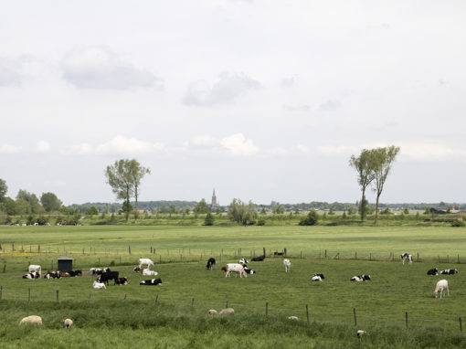 Historisch landschap Nieuwe Hollandse Waterlinie, Gedekte Gemeenschapsweg. I.o.v. platform IfThenIsNow