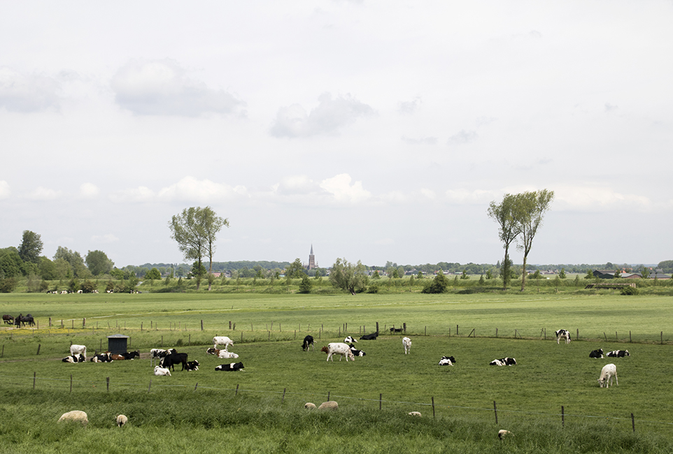 Historisch landschap Nieuwe Hollandse Waterlinie, Gedekte Gemeenschapsweg. I.o.v. platform IfThenIsNow