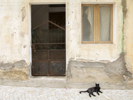 De zwarte kat in Triei, Sardinië