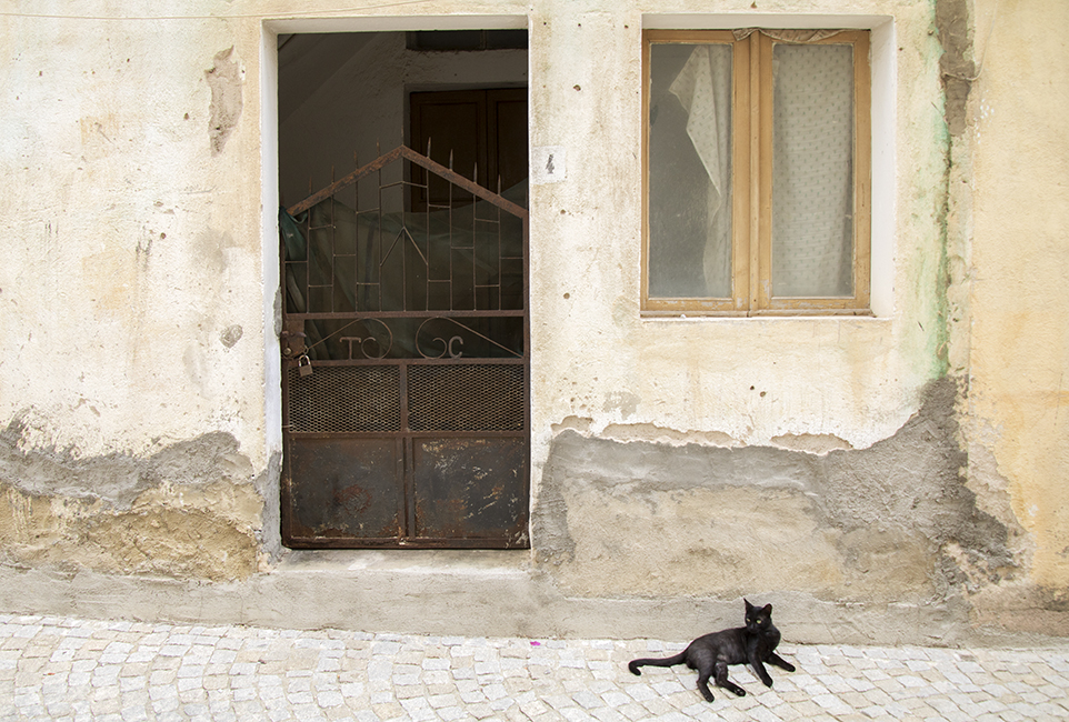 De zwarte kat in Triei, Sardinië