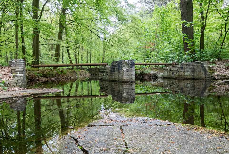 Rijksmonument Waterloopbos