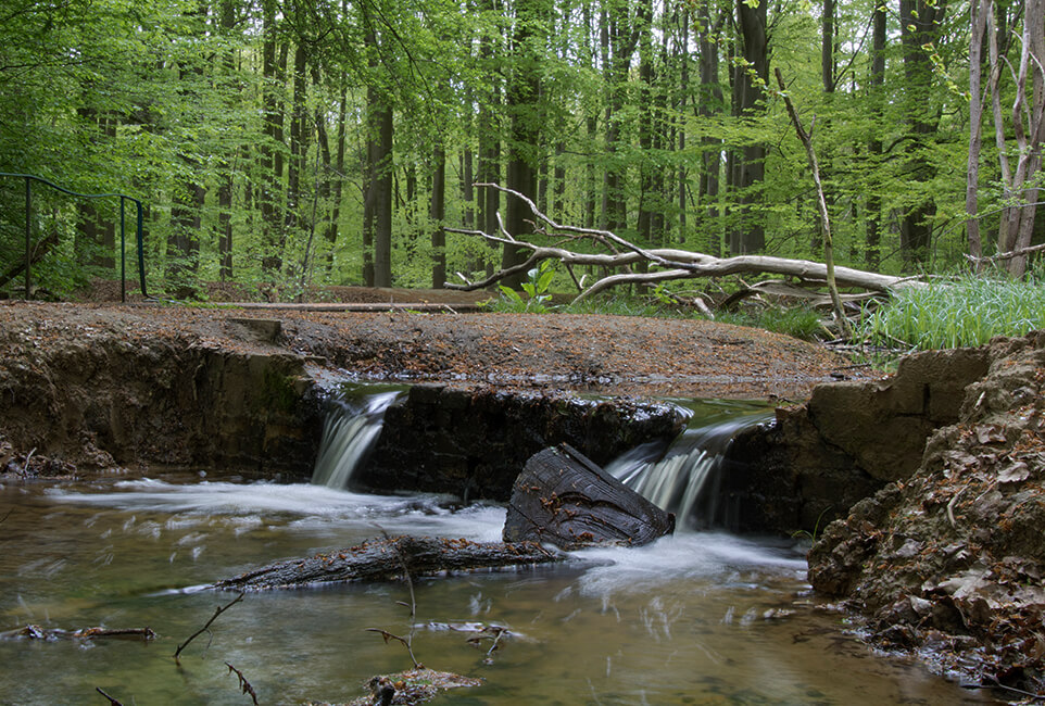 Rijksmonument Waterloopbos