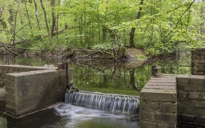 Rijksmonument Waterloopbos, uniek watererfgoed in de Noordoostpolder.