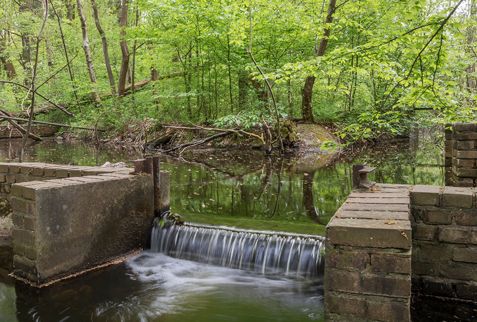 Rijksmonument Waterloopbos, uniek watererfgoed in de Noordoostpolder.