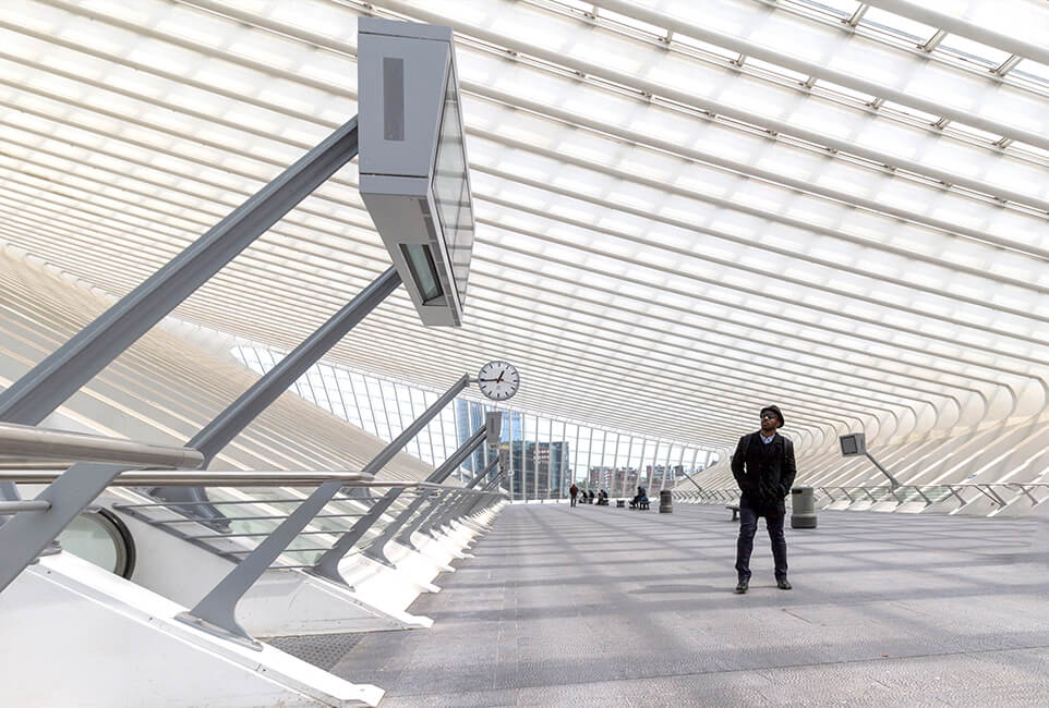 Station Luik Guillemins, architect: Santiago Calatrava.