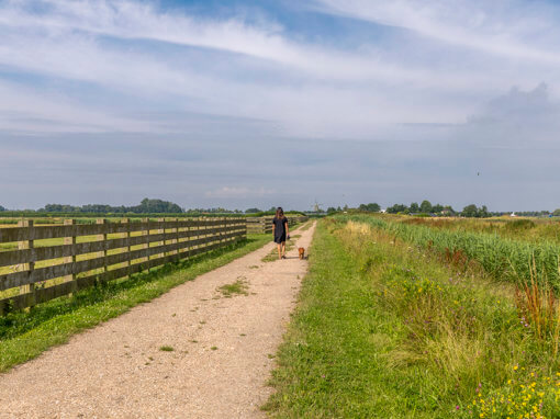 Waterberging Drechterland i.o.v. MOOI Noord-Holland / Steunpunt Monumenten en Archeologie Noord-Holland