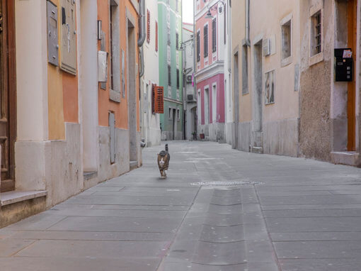 Izola, Slovenië