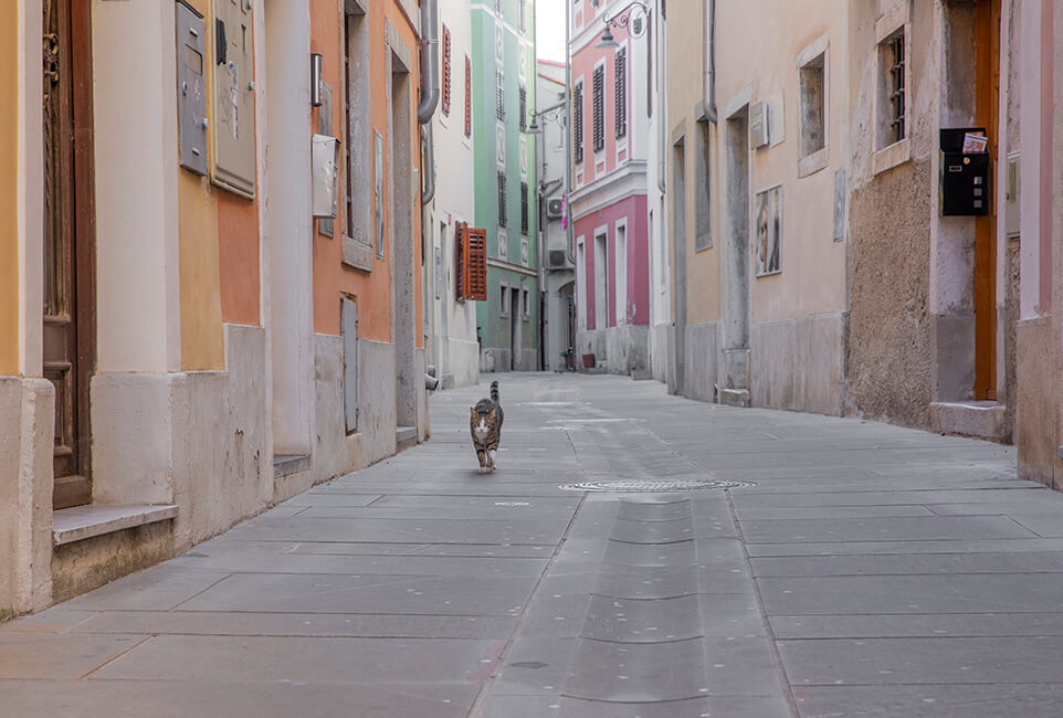 Izola, Slovenië