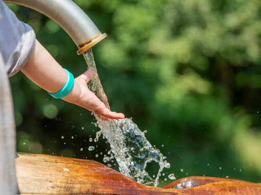 Fotografie Centra voor Natuur- en duurzaamheidseducatie (NDC’s) i.o.v. Omgevingsdienst Regio Utrecht (ODRU)