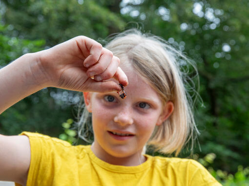 Fotografie Centra voor Natuur- en duurzaamheidseducatie (NDC’s) i.o.v. Omgevingsdienst Regio Utrecht (ODRU)