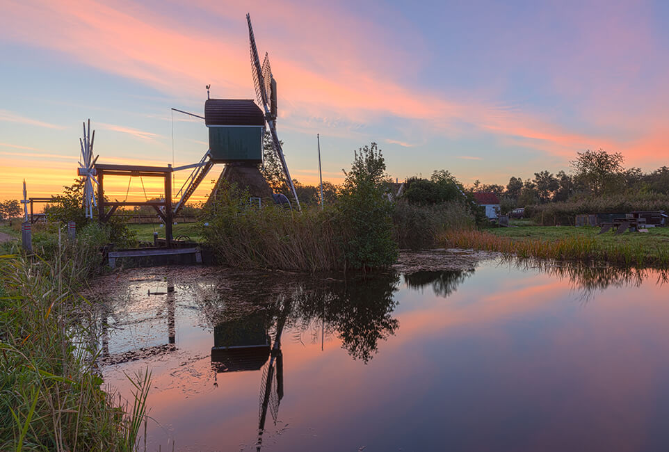 Molen de Trouwe Waghter, Tienhoven