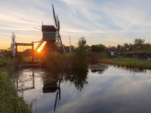 Molen De Trouwe Waghter, Tienhoven