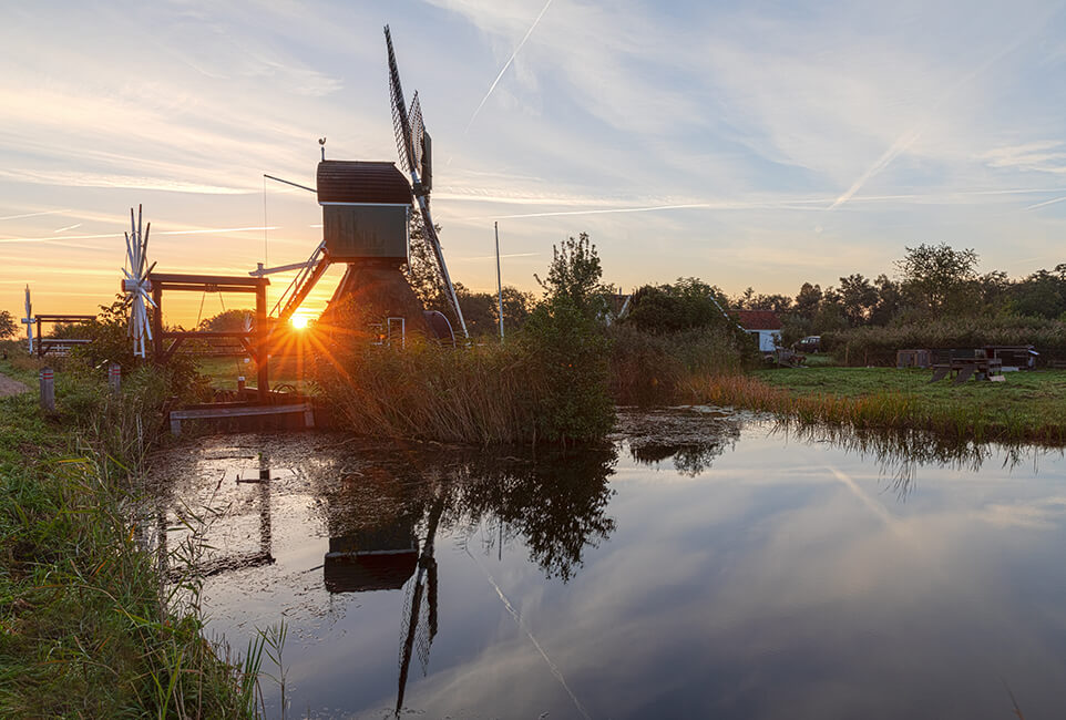 Molen De Trouwe Waghter, Tienhoven