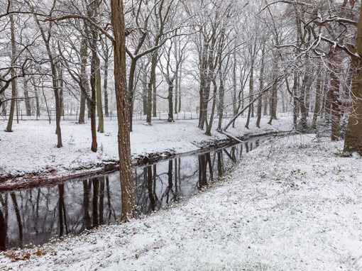 Werkzaamheden project ‘Klimaat Robuuste Buitenplaatsen’ in het Zeisterbos i.o.v. Het Utrechts Landschap