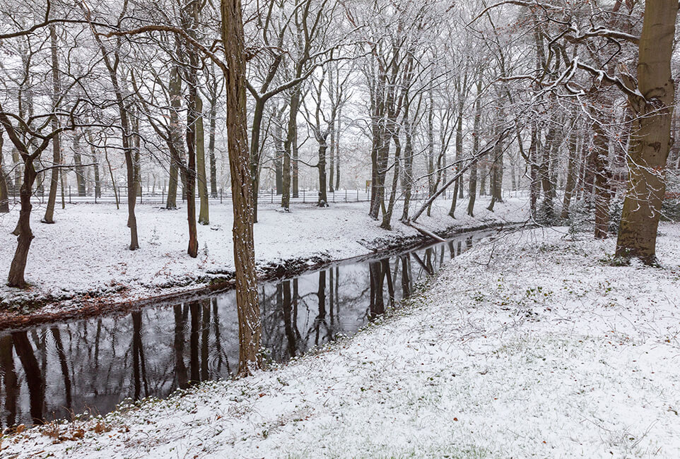 Werkzaamheden project ‘Klimaat Robuuste Buitenplaatsen’ in het Zeisterbos i.o.v. Het Utrechts Landschap