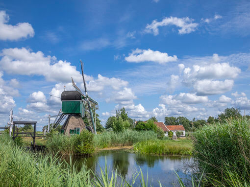 Molen De Trouwe Wagther, Tienhoven