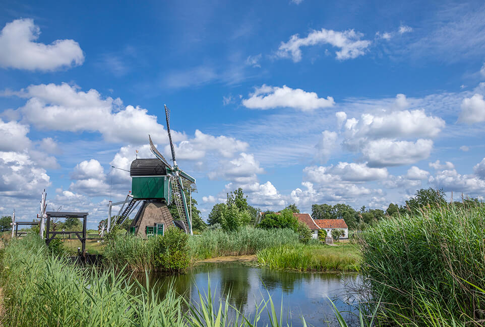 Molen De Trouwe Wagther, Tienhoven