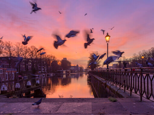 Muntsluizen Utrecht zonsopkomst