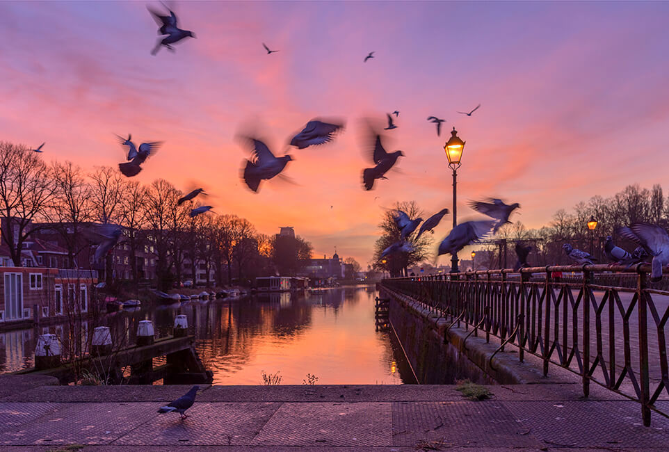 Muntsluizen Utrecht zonsopkomst