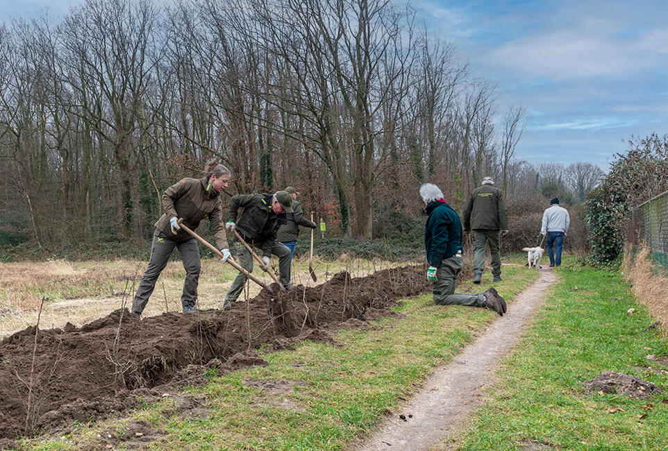 Aanplant nieuwe hagen Laarsenberg Rhenen door aanwonenden en vrijwilligers Utrechts Landschap i.o.v. Utrechts Landschap.