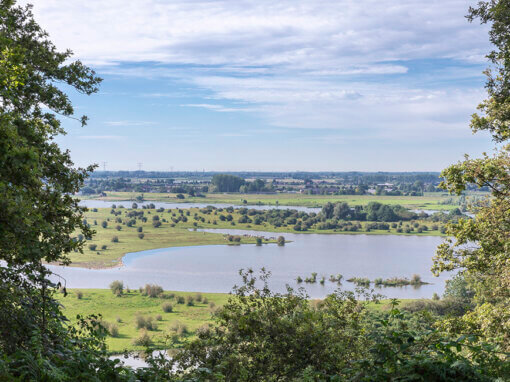 Natuurgebied De Blauwe Kamer gezien vanaf de Grebbeberg i.o.v. Utrechts Landschap