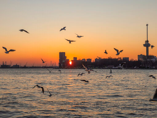 Rotterdam Nieuwe Maas