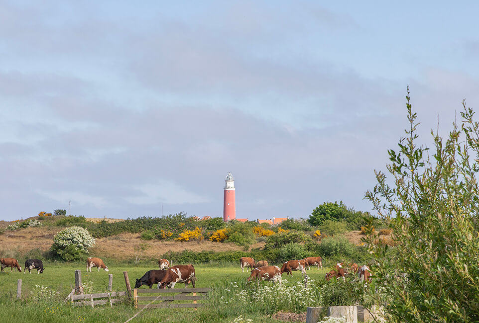 Vuurtoren Texel i.o.v. MOOI Noord-Holland