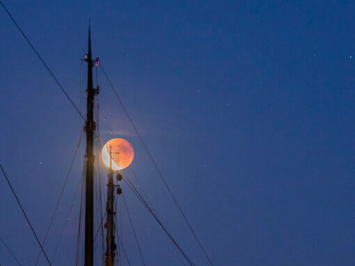 Bloedmaan, september 2025