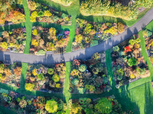 Vlinderhof, Máximapark Utrecht-Leidsche Rijn