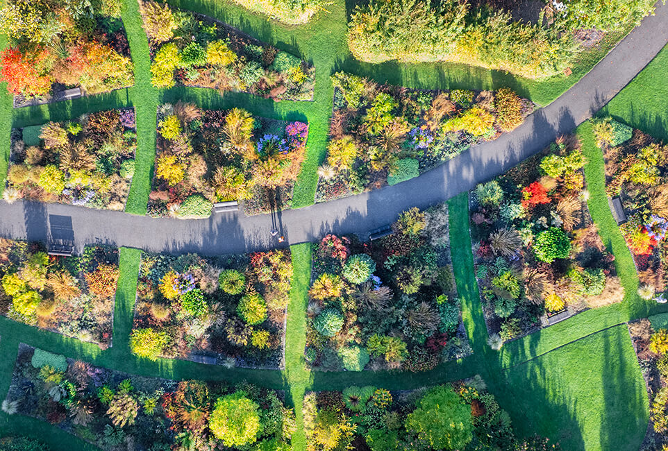 Vlinderhof, Máximapark Utrecht-Leidsche Rijn